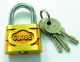 PADLOCK GLOBE BRASS 20MM 3/4