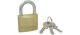 PADLOCK MASTER BRASS 20MM 1900D