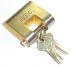 PADLOCK GLOBE STAINLESS STEEL 50MM #1086A