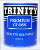 PAINT TRINITY PREMIUM GLOSS QT