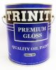 PAINT TRINITY PREMIUM GLOSS  GALL.