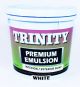 PAINT TRINITY PREMIUM EMUL QTS