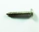 SCREW SELF TAPPING 1 X 10G SS #316 PH